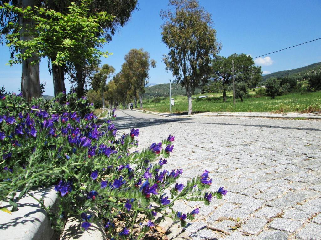 Zeybek 1 Pension Patara Exterior foto